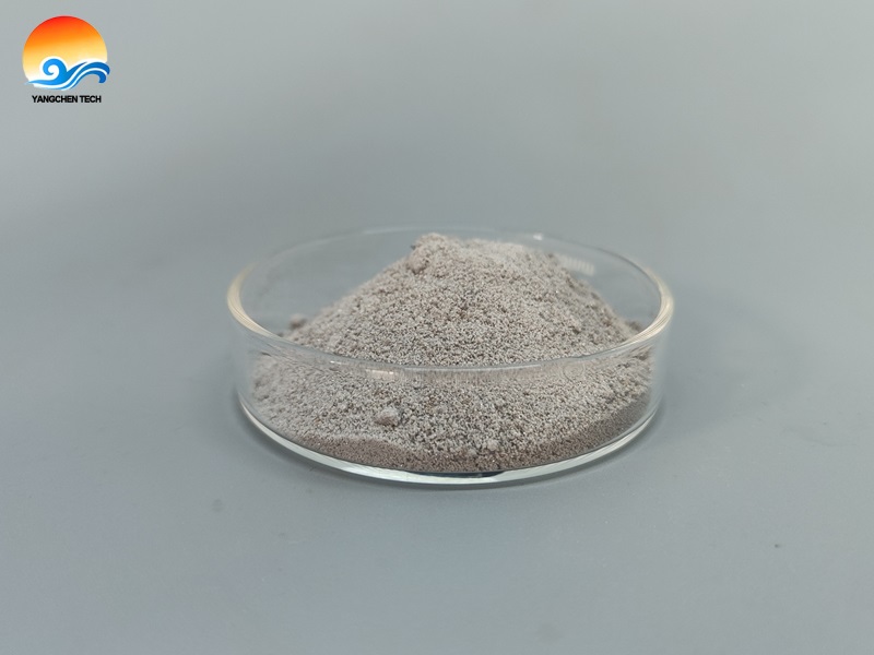 New antioxidant agent NAPM powder